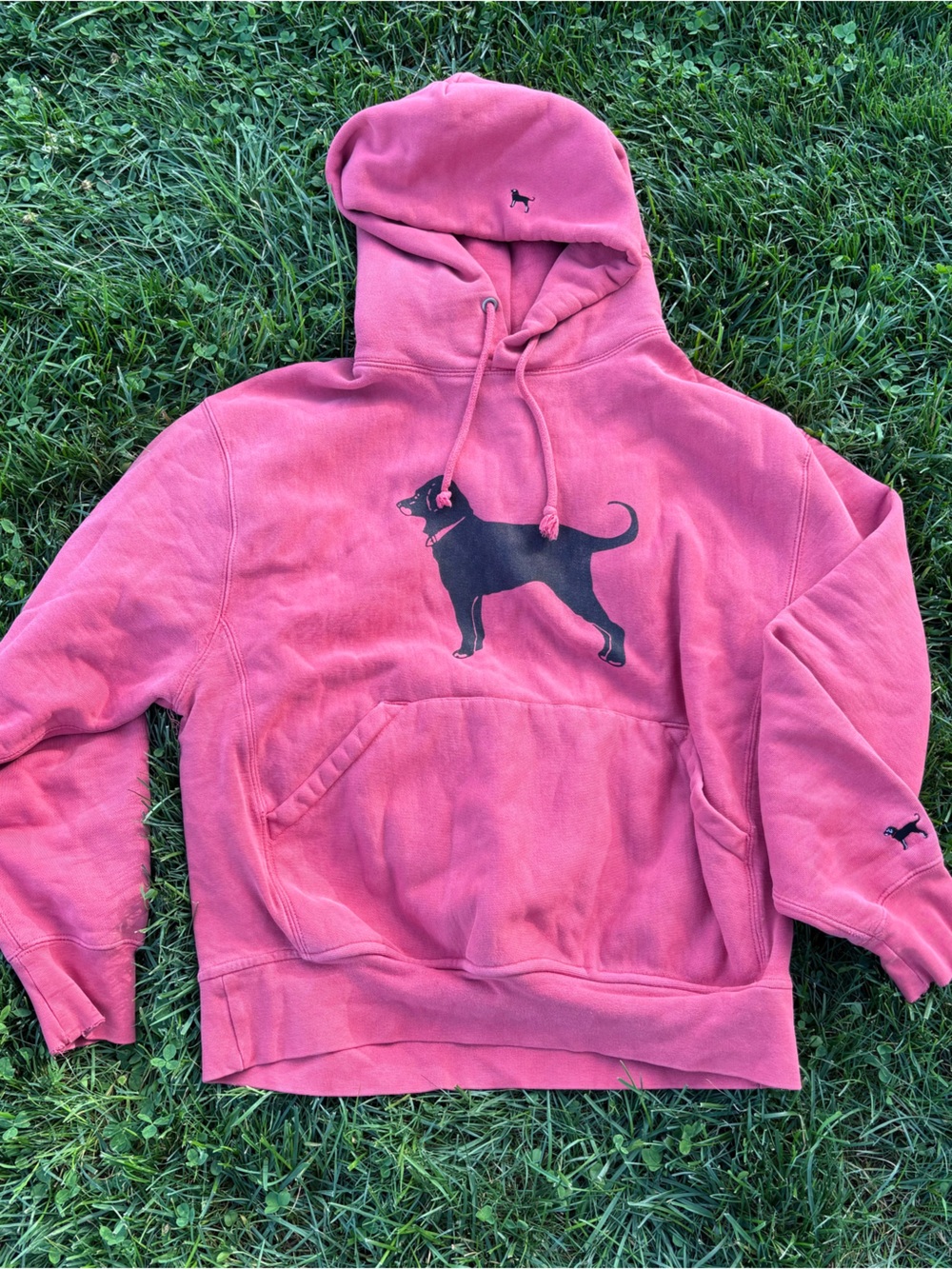 The Black Dog Heavy Sweater Hoodie